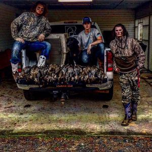 Meet your Posher, Casey